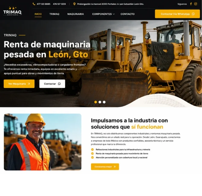 diseñador páginas web leon gto