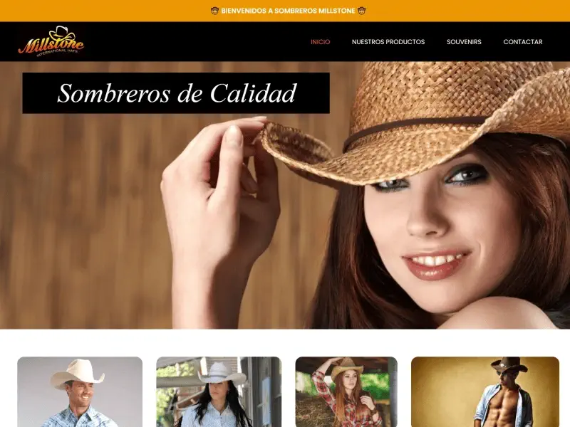 diseño paginas web leon guanajuato